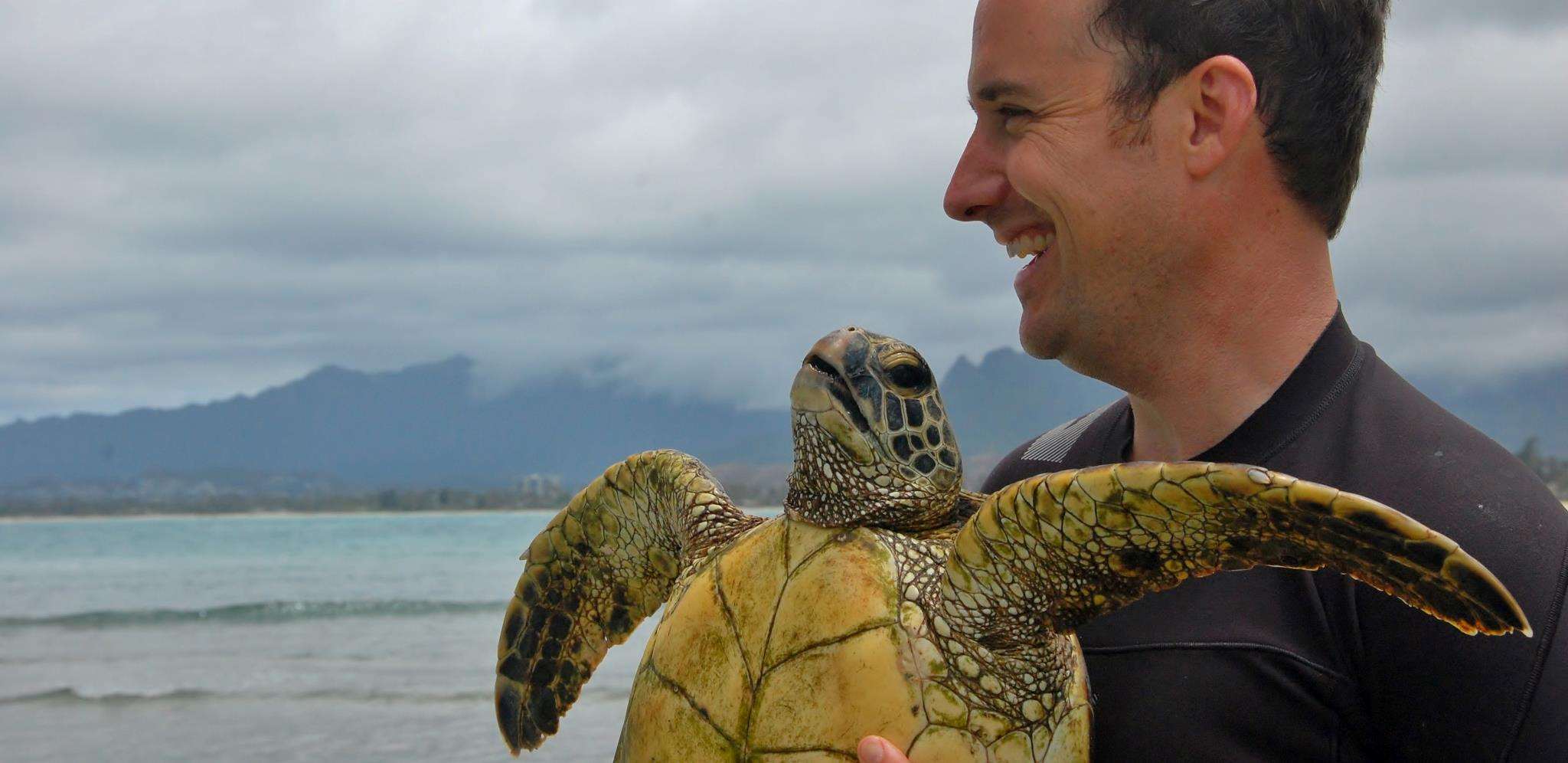 Historical tortoiseshell trade | Stories | Seafood Watch