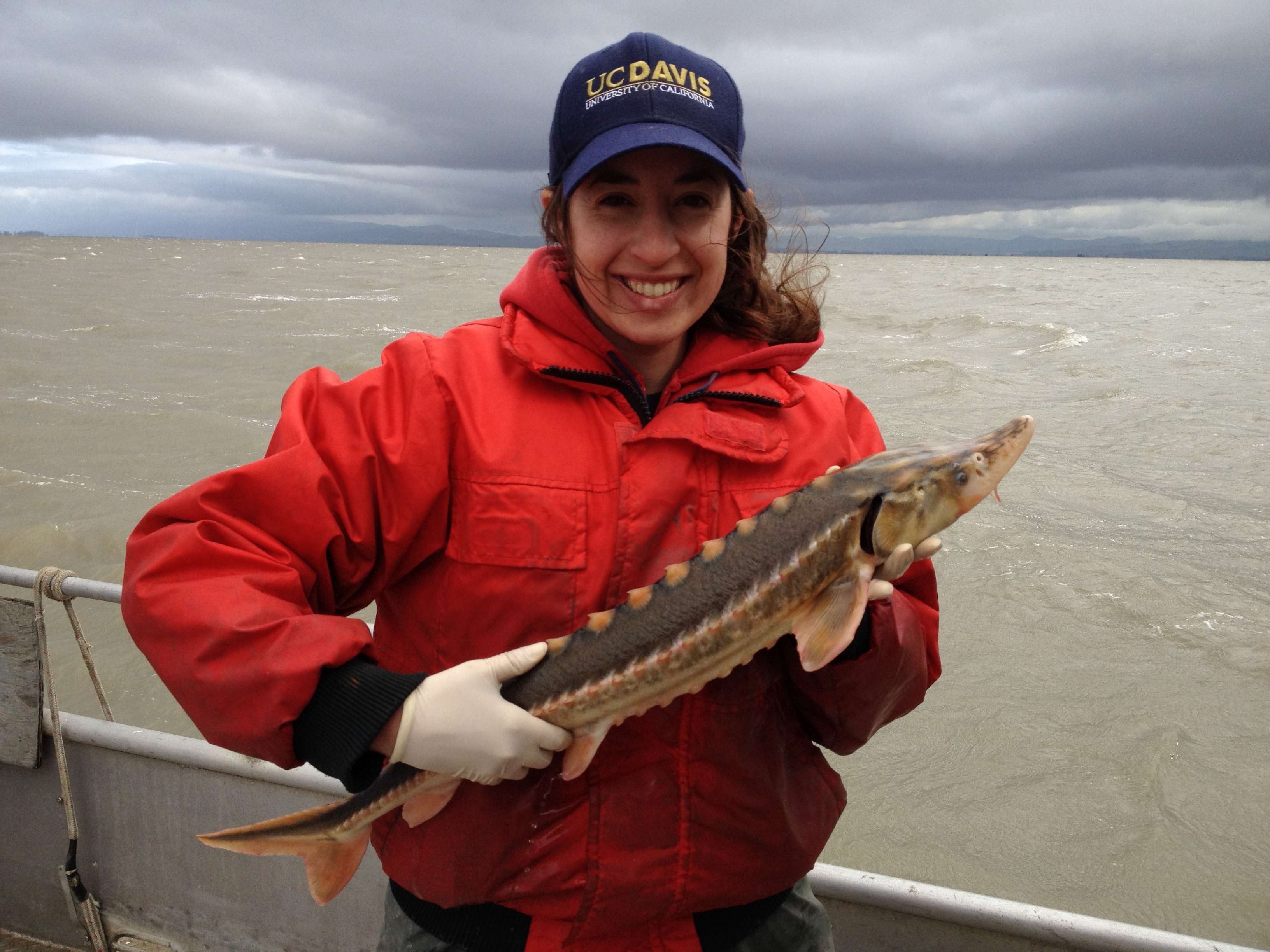 Historical tortoiseshell trade | Stories | Seafood Watch