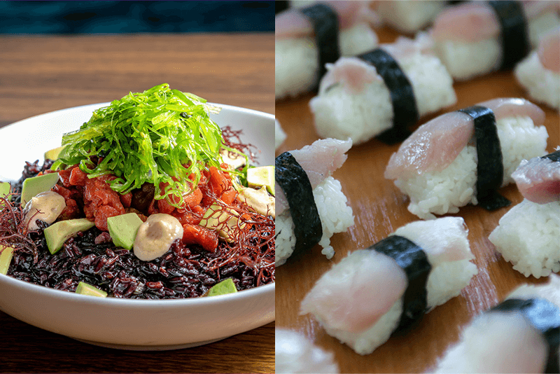 Sustainable tuna guide Seafood Watch