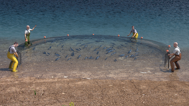 ROLE OF FISHERY TECHNOLOGY IN MANAGEMENT AND DEVELOPMENT OF FRESHWATER  FISHERIES IN AFRICA