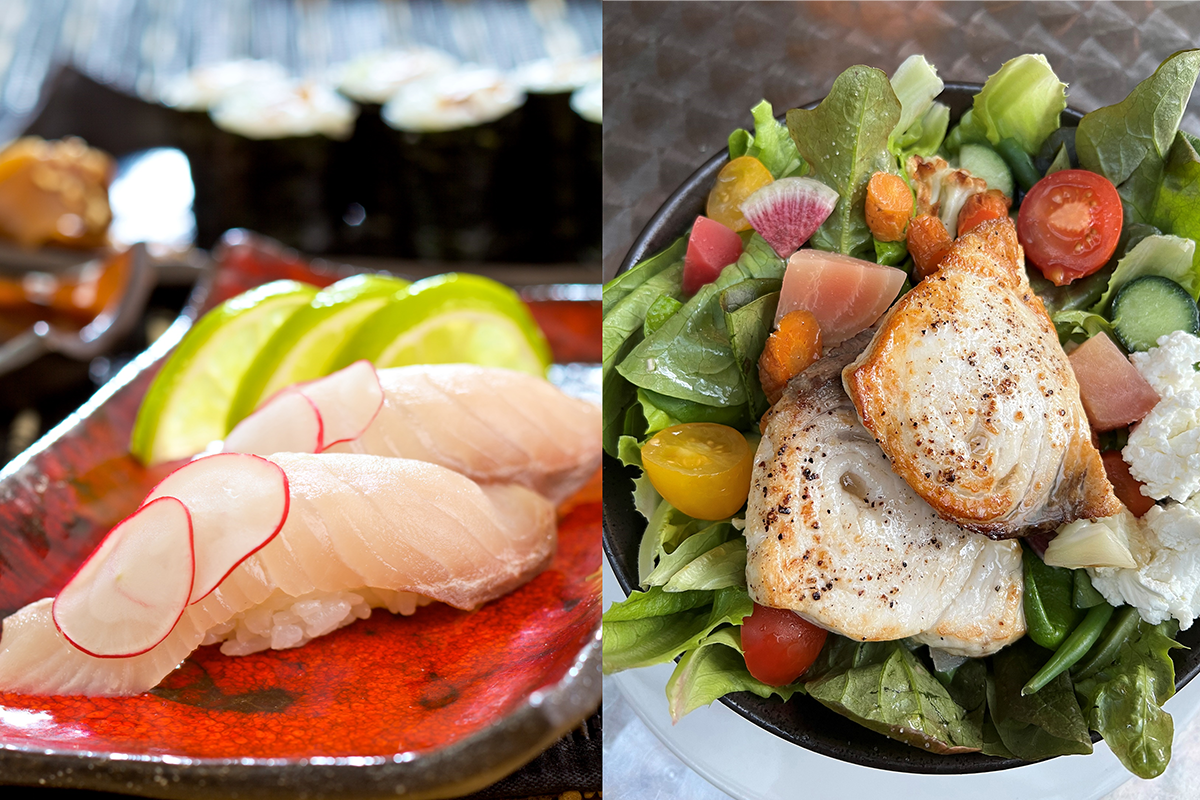 Sustainable swordfish and marlin guide Seafood Watch