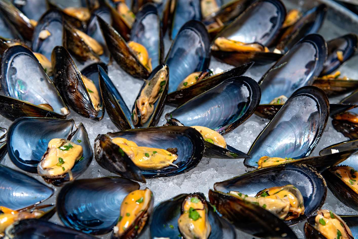 Super Green List Healthy and sustainable farmed clams Seafood Watch