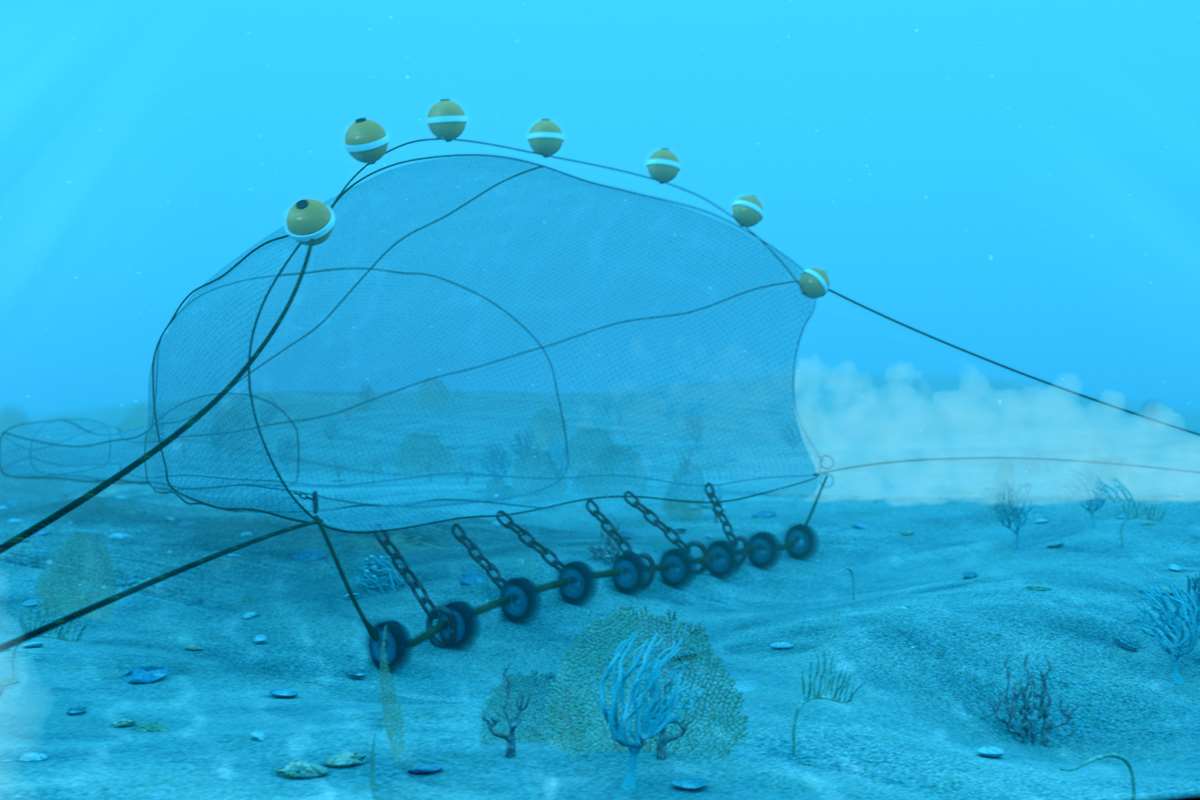 Super Green List Healthy and sustainable farmed Alaska flounder