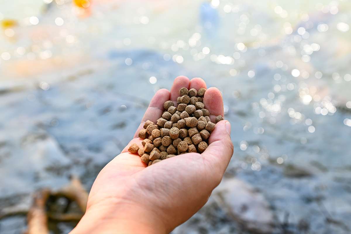 Image showcasing Super Green List | Healthy and sustainable U.S. farmed catfish ...